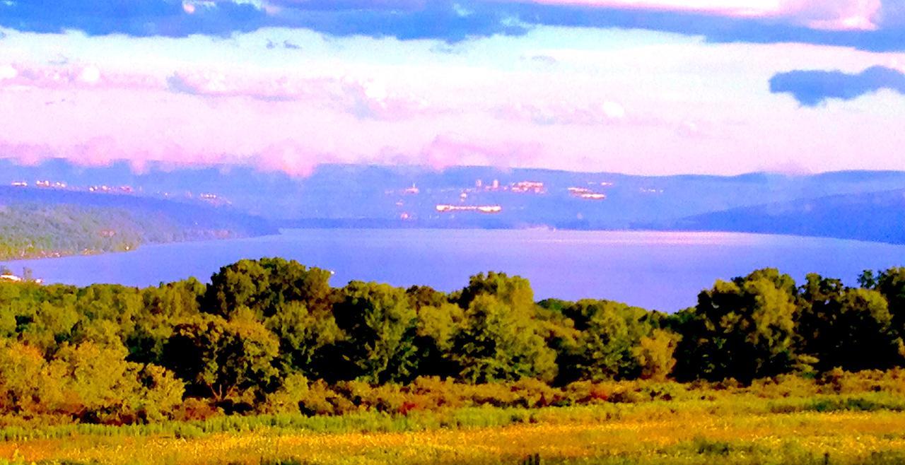 A Cayuga Lakefront Inn - Hotel Alt, Ithaca New York Exterior foto